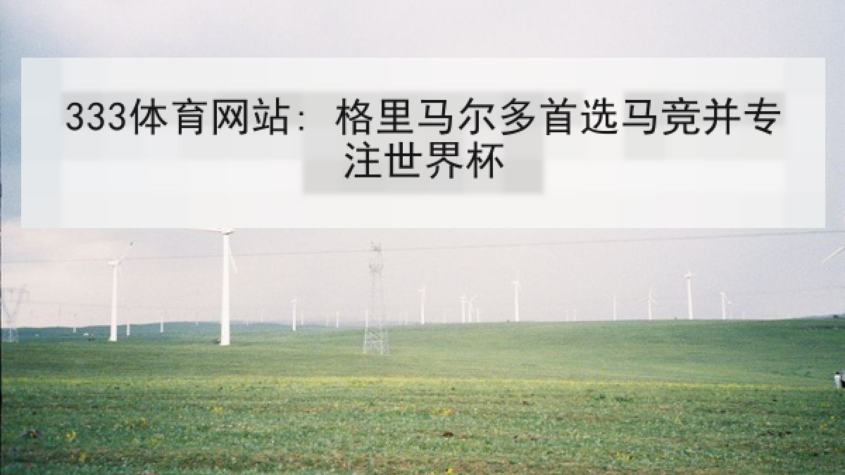 333体育网站: 格里马尔多首选马竞并专注世界杯